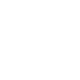 دليل golden sagittarius